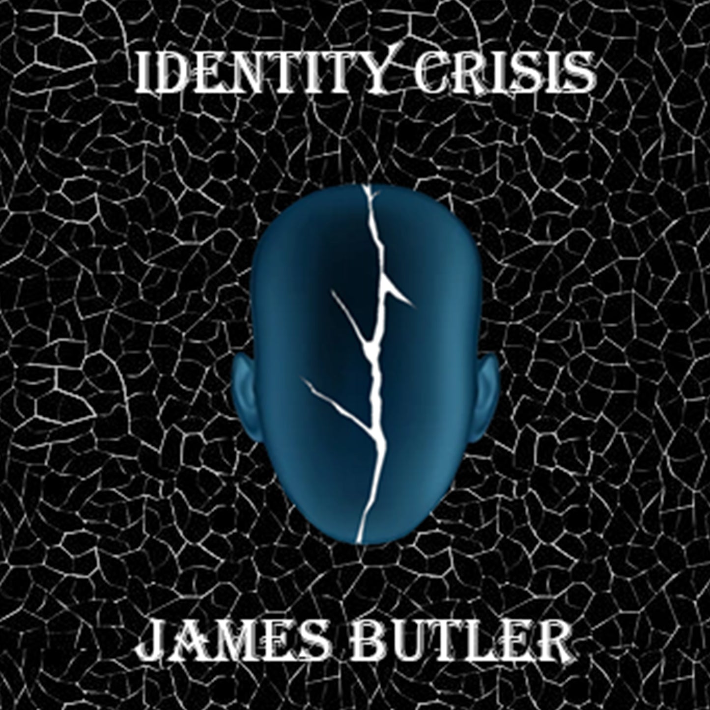 Identity Crisis - Audiobook - Digital