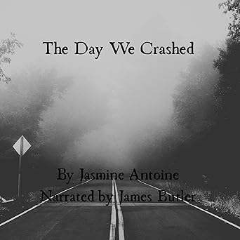 The Day We Crashed - Audiobook - Digital