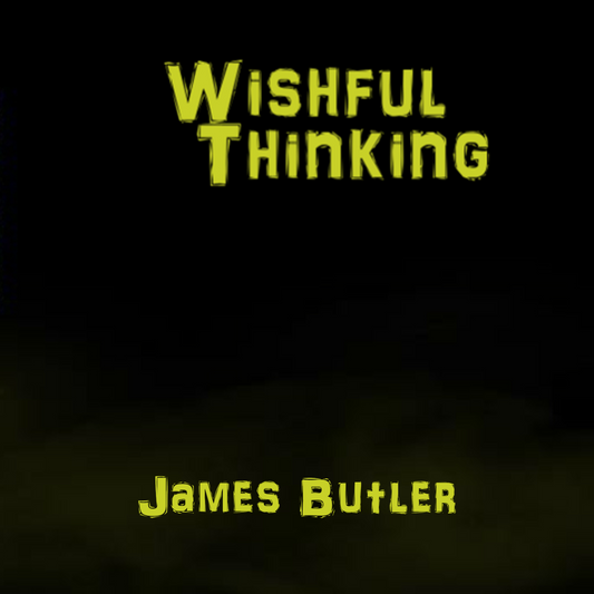 Wishful Thinking - Audiobook - Digital